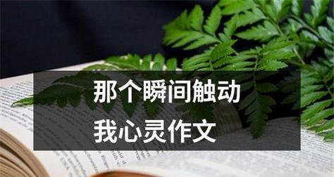 感动初一生活（一颗初一生的成长之路）