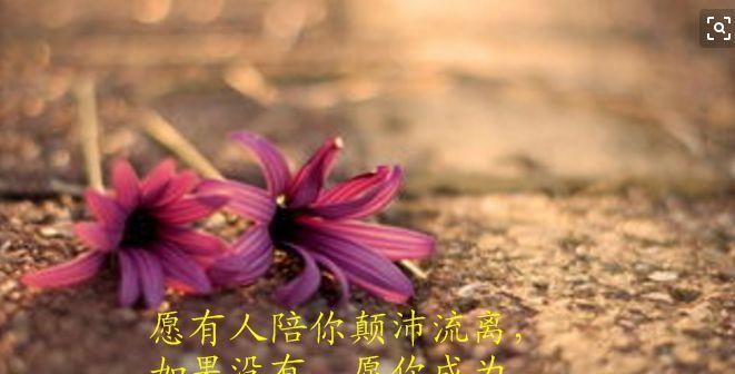 过程胜于结果（人生的美丽瞬间）