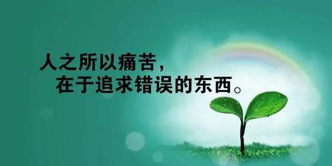 用一句话点亮心灵（用一句话点亮心灵）