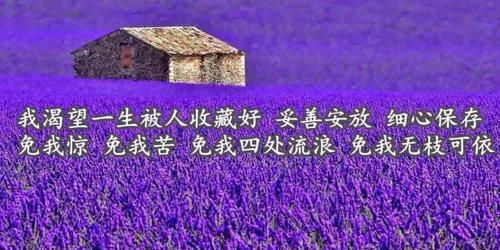 用唯美短句读懂人生（用唯美短句读懂人生）