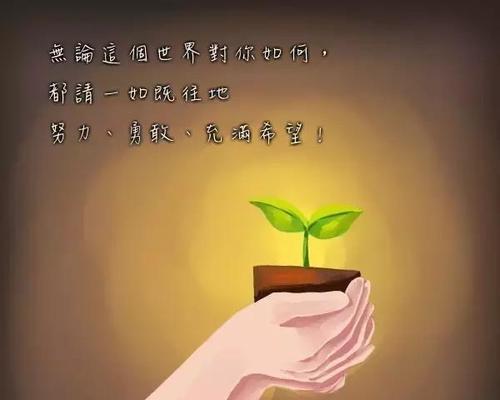 《荆棘之路》