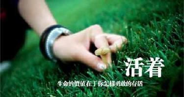 破浪前行，见血封喉（以人生挫折为笔）