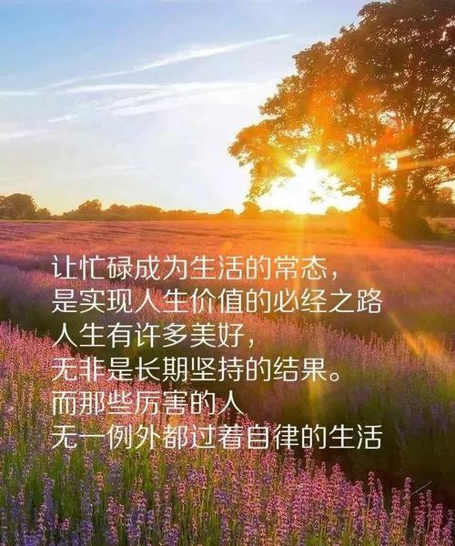 经历沧桑，领悟人生真谛（经历沧桑）