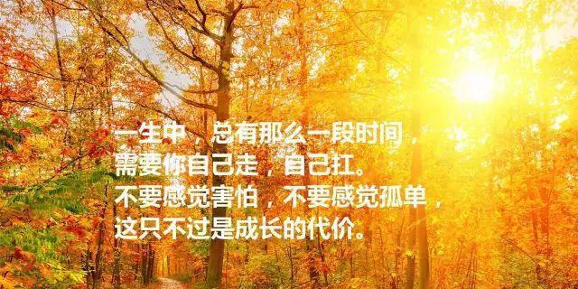 经历沧桑，领悟人生真谛（经历沧桑）