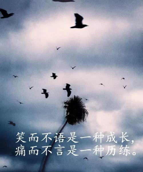 花开后，我们终会成长（岁月）