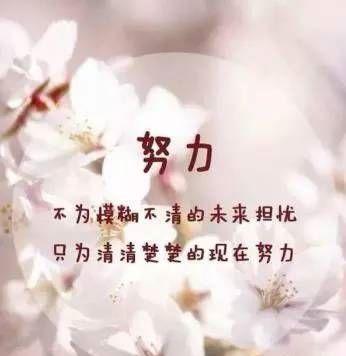超越人生，超越哲理（唯美短句）