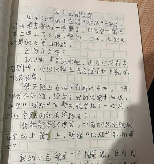 轻装上路（一袋行李）