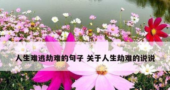 爱好与人生（从青涩到成熟）