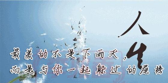 绽放的人生（感受美好）