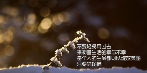 绽放的人生（感受美好）