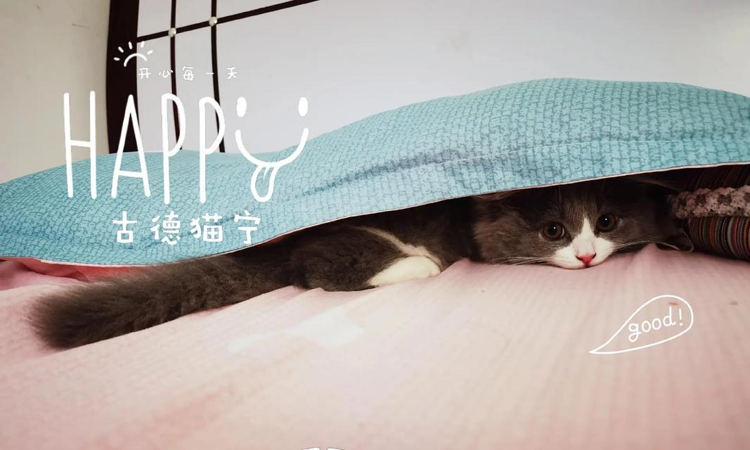 一场短暂的旅程（人生不过如此）