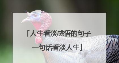 《人生不过如此》——赏析唯美短句