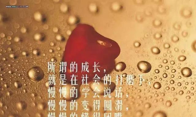 蝶舞人生（以人生比喻）