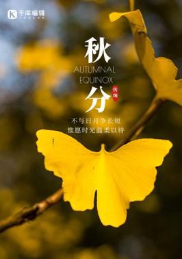 点亮心灵的文字之光（点亮心灵的文字之光）