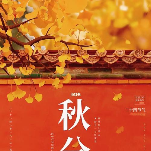 点亮心灵的文字之光（点亮心灵的文字之光）