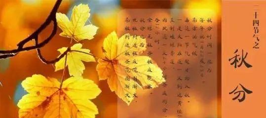 点亮心灵的文字之光（点亮心灵的文字之光）