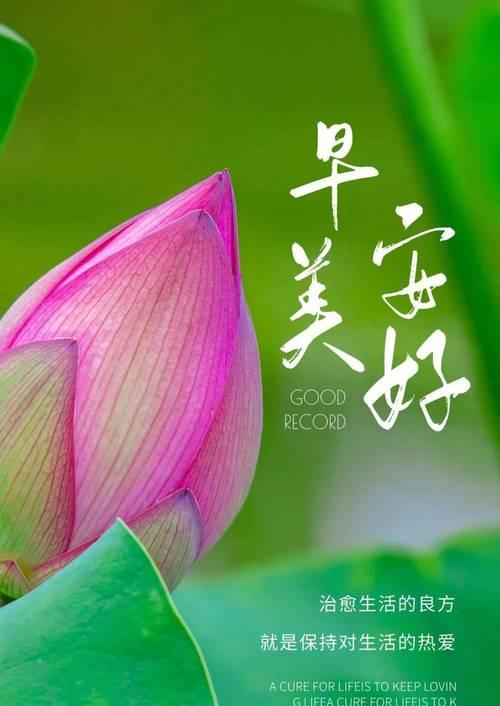 2024，让人一看就赞的早安说说（25个唯美短句）