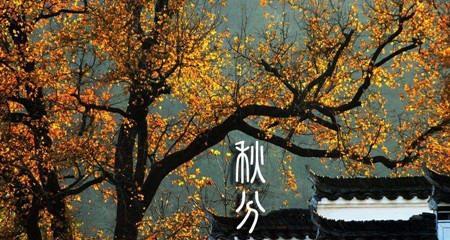 金秋时节，赏心悦目（用唯美的句子）