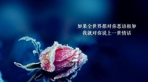 心安如水：唯美短句让你沉浸在宁静中
