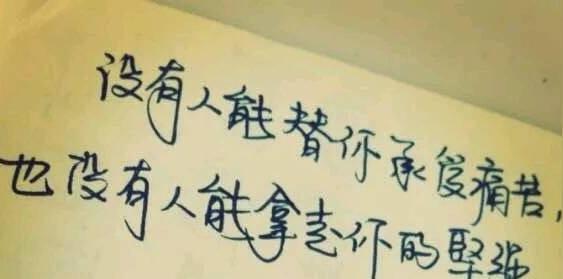 “误解与幽默的交织”——一个让人啼笑皆非的世界