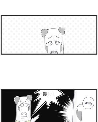 “误解与幽默的交织”——一个让人啼笑皆非的世界