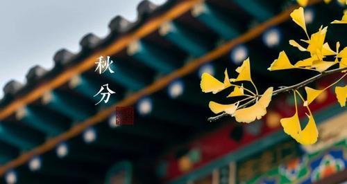 秋日与文字的邂逅（文艺唯美句子说说）