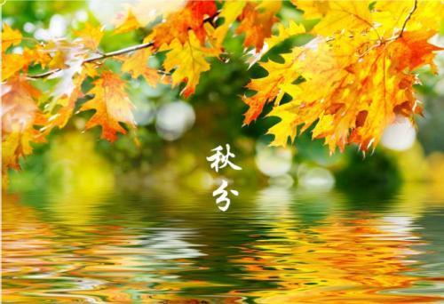 秋日与文字的邂逅（文艺唯美句子说说）