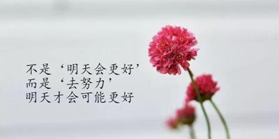 坚持不懈，迎接未来：25个唯美句子让你勇往直前