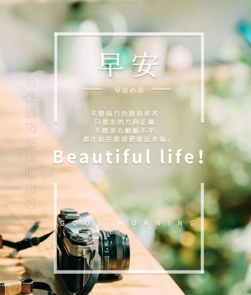 在一天的开始，送上美好的祝福（在一天的开始）