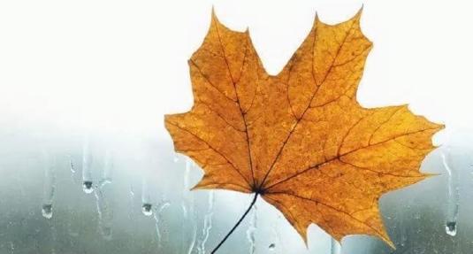 《慕秋雨》——深情之约