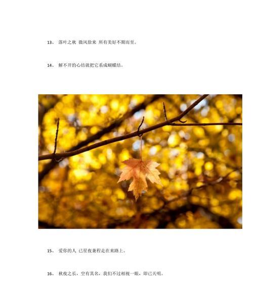 秋天的美丽（以唯美短句为主的描写）