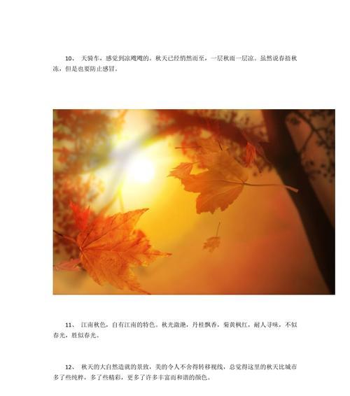 《秋之美：唯美句子的瑰宝》
