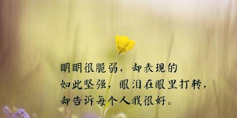 追逐秋天，感悟人生（美好的季节）