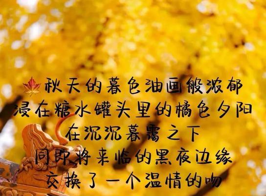 她如风中的花瓣，轻轻地飘落（她如风中的花瓣）