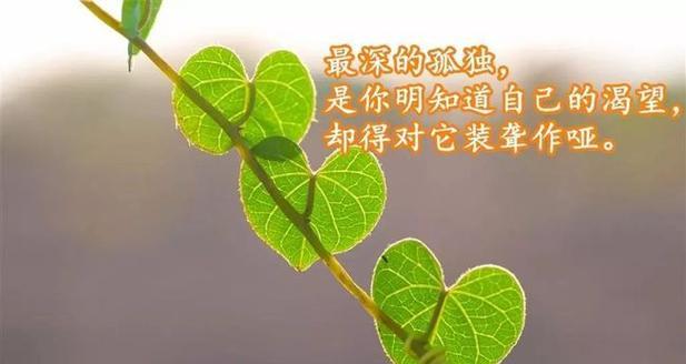 秋天的心情（感悟生活的细节）