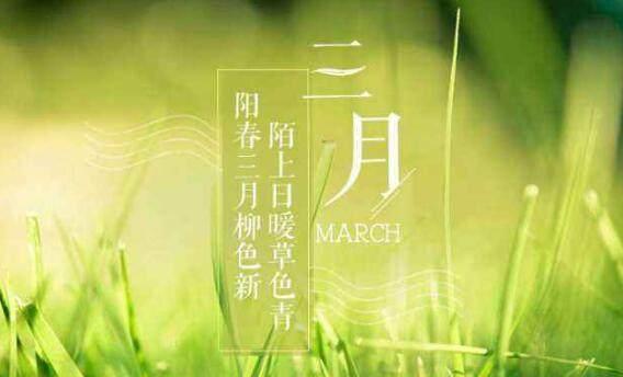 三月，与唯美同行（2024年）
