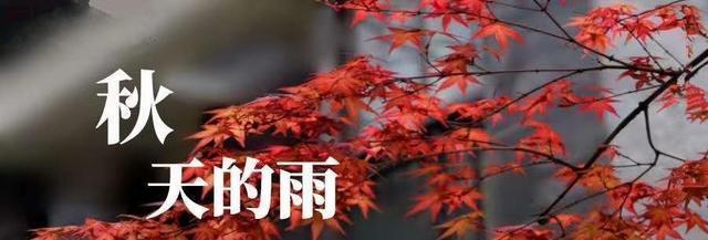 《雨落秋天，美丽绝伦》