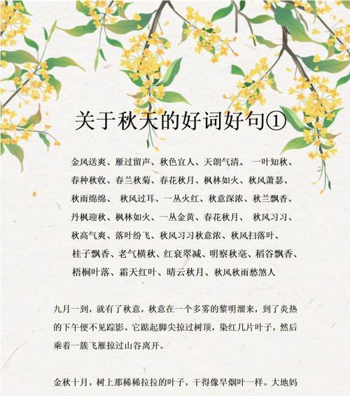 秋雨醉人——秋雨美句精选
