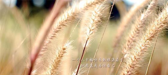 与2024三月相遇（带着梦想翱翔）