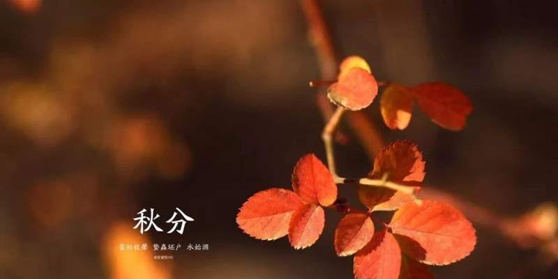 迎接2024三月，与朋友圈相约（用唯美短句记录点滴）