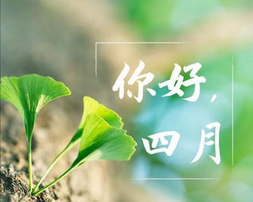 2024三月再见四月你好好（2024三月再见四月你好好）