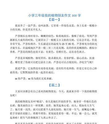 仙人掌--我的植物朋友（在寂静的角落里开出生命之花）