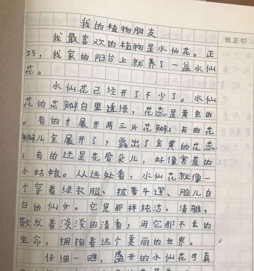 仙人掌--我的植物朋友（在寂静的角落里开出生命之花）