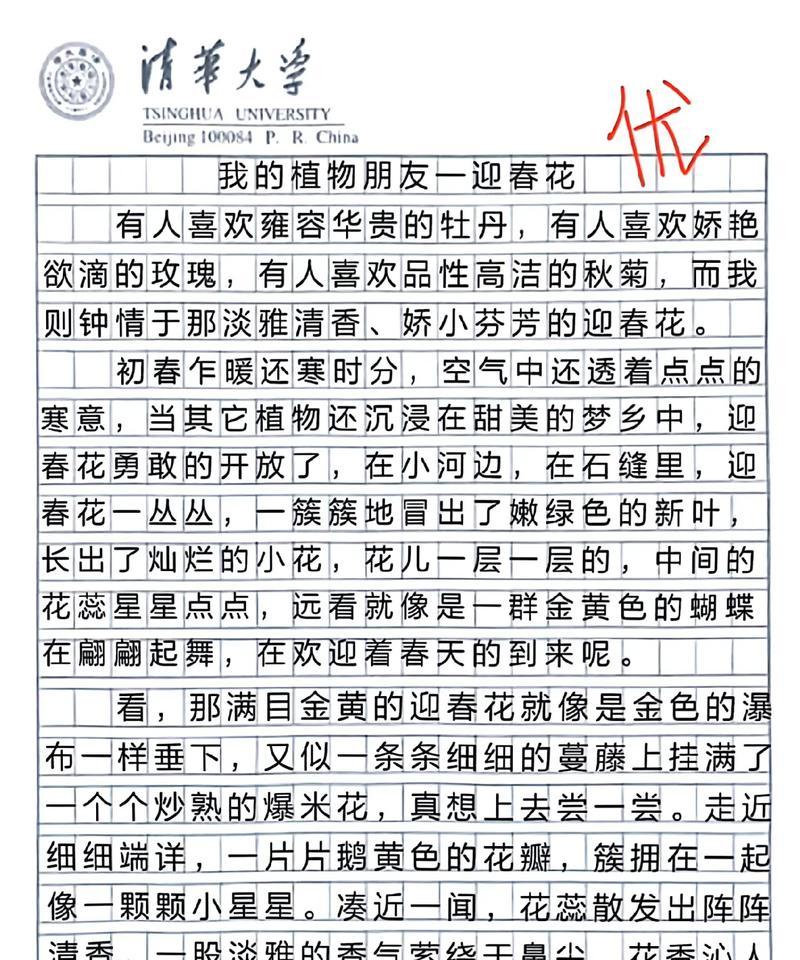 仙人掌--我的植物朋友（在寂静的角落里开出生命之花）