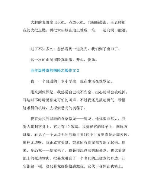 小李的大冒险（小李的大冒险）