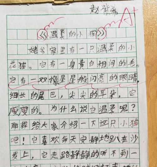 观察小动物（小学三年级春季科学活动）