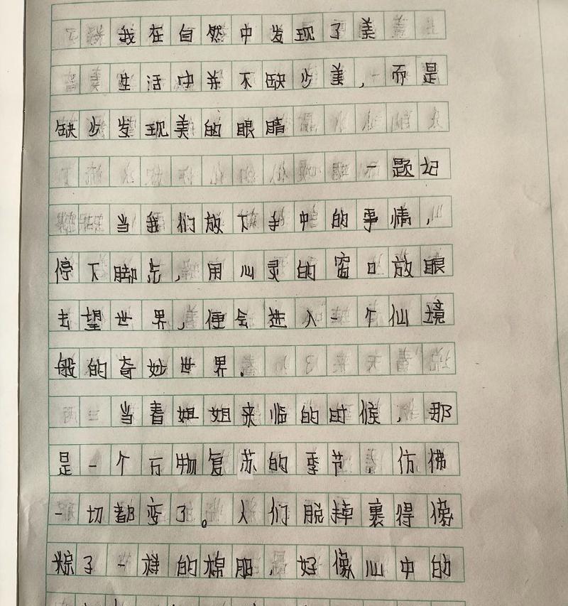 我发现了美（一个小女孩的观察之旅）