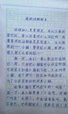 我发现了美（一个小女孩的观察之旅）