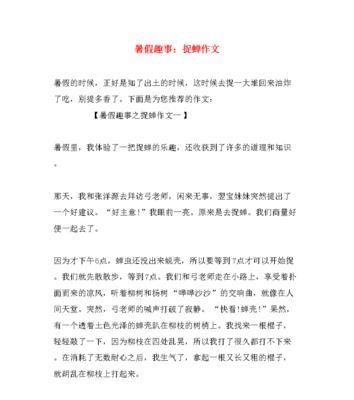 小华的八年级暑假趣事（一段充满奇遇和欢笑的假期）