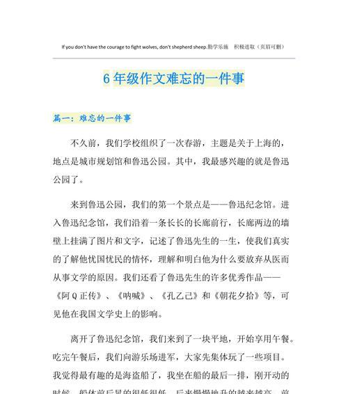 一张音乐会门票的意外惊喜（一张音乐会门票的意外惊喜）